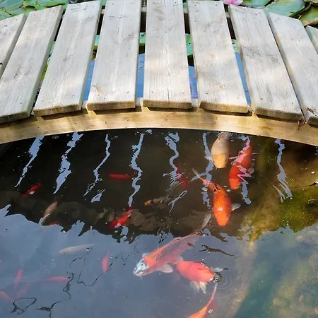 La Des Sens 게스트하우스