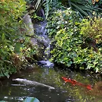 La Des Sens Lattes