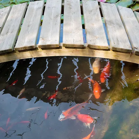 Casa de hóspedes La Des Sens 3*