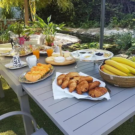 La Des Sens Maison d'hôtes Lattes